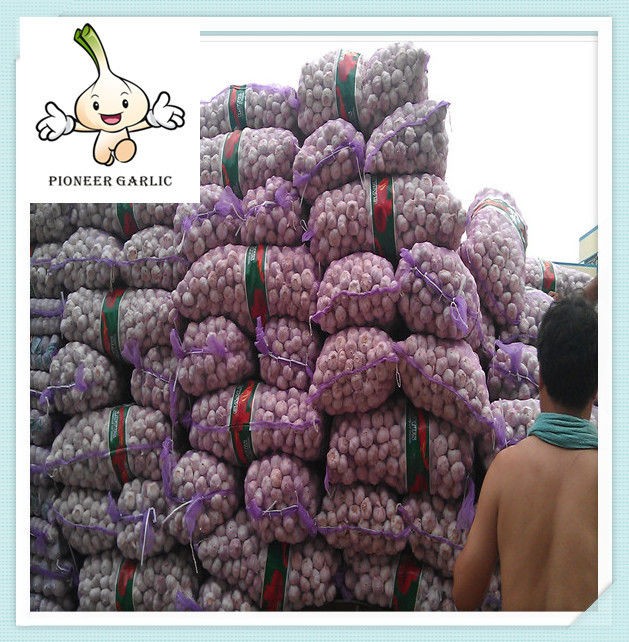 china garlic 2014 fresh garlic for Haiti china high quality fresh white garlic