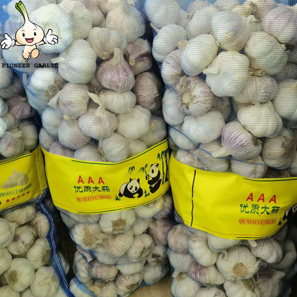 High Quality New Crop Fresh Normal White Garlic 5cm 10kg mesh bag