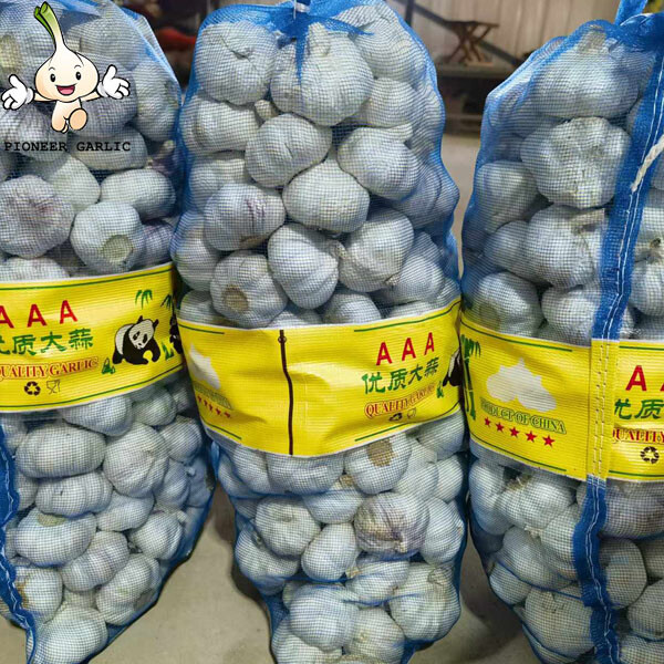 High Quality New Crop Fresh Normal White Garlic 5cm 10kg mesh bag