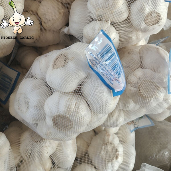 2024 high quality Pure White garlic small size bag to Nicaragua Market