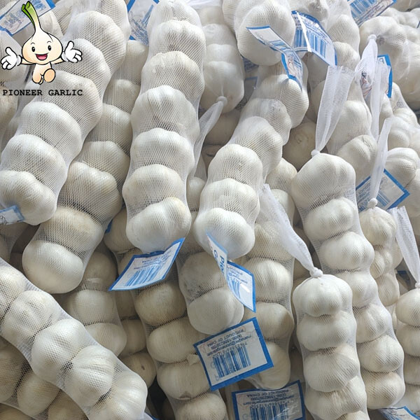 2024 high quality Pure White garlic small size bag to Nicaragua Market