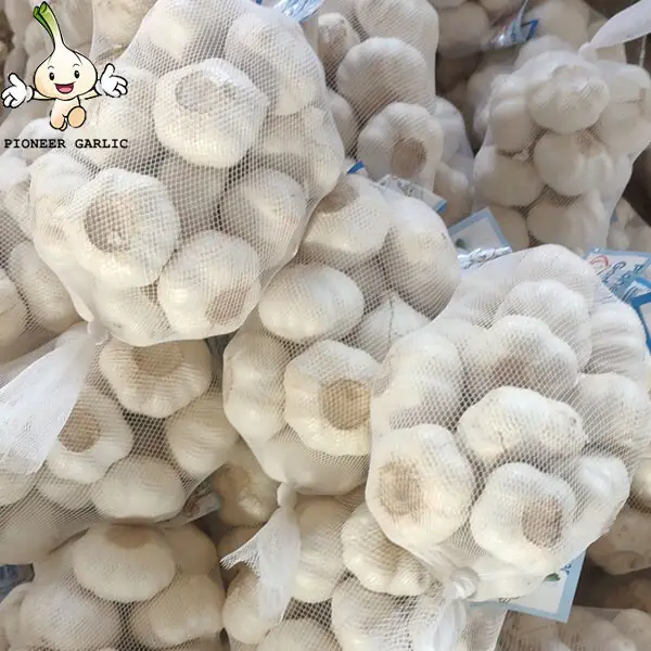 China garlic Supplier 2024 Crop Shandong Jinxiang  fresh garlic small bag Pure White garlic