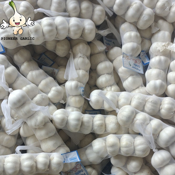 2024 high quality Pure White garlic small size bag to Nicaragua Market