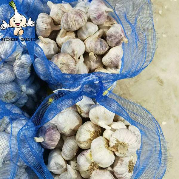 2024 new crop Wholesale Fresh Garlics Cheap Price Best Grade Fresh Garlics For Sale