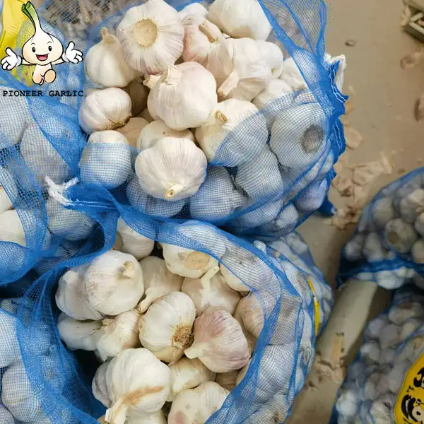 2024 new crop Normal White garlic fresh garlic China garlic supplier