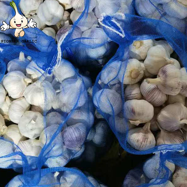 2024 new crop Normal White garlic fresh garlic China garlic supplier