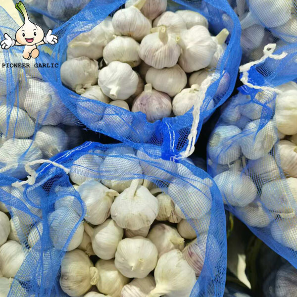 2024 new crop Normal White garlic fresh garlic China garlic supplier