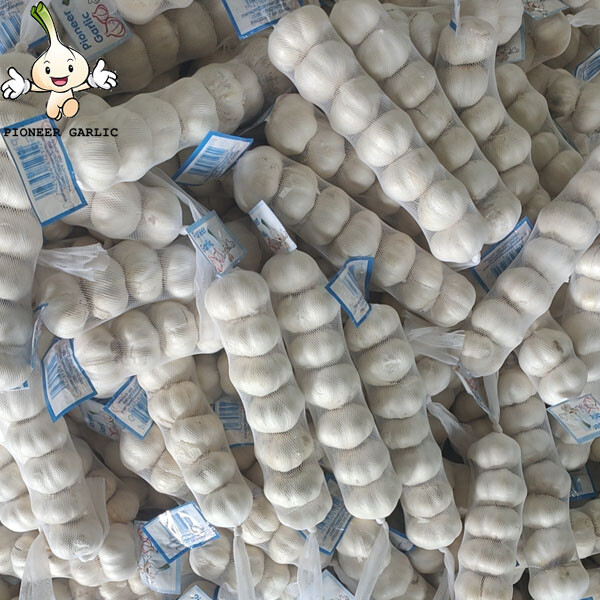 2024 new crop Pure White garlic small size bag to Nicaragua Market