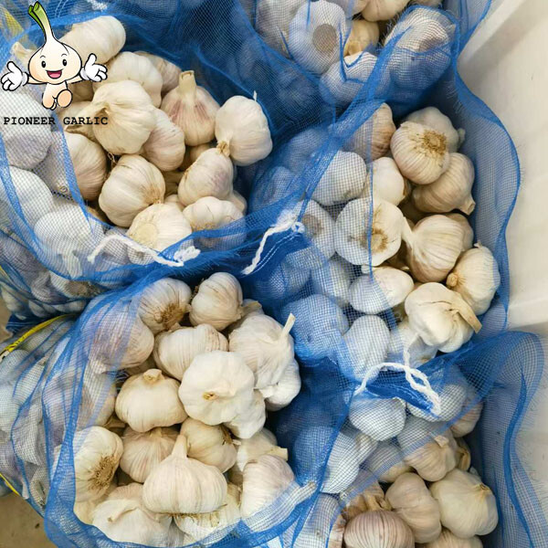 2024 new crop Normal White garlic fresh garlic China garlic supplier