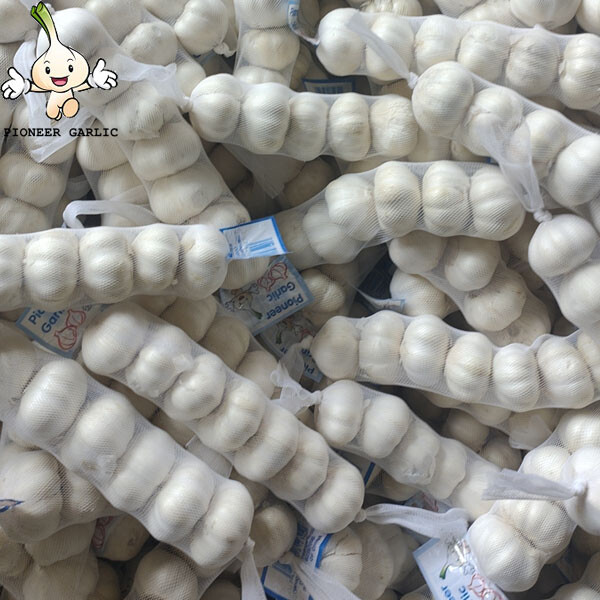 2024 new crop Pure White garlic small size bag to Nicaragua Market