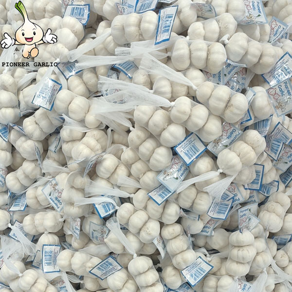 2024 new crop Pure White garlic small size bag to Nicaragua Market