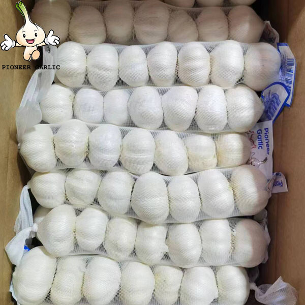 2024 Fresh Pure White Garlic Exporter Price small bag packing